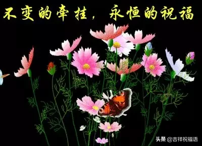 大年初一，早上好，清晨第一声问候送给你，祝你幸福快乐