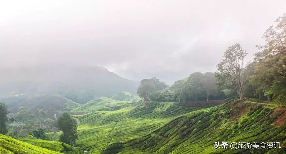 雅安邀你来听雨：天地之润，万物之养，雅雨之灵，雅安之魂