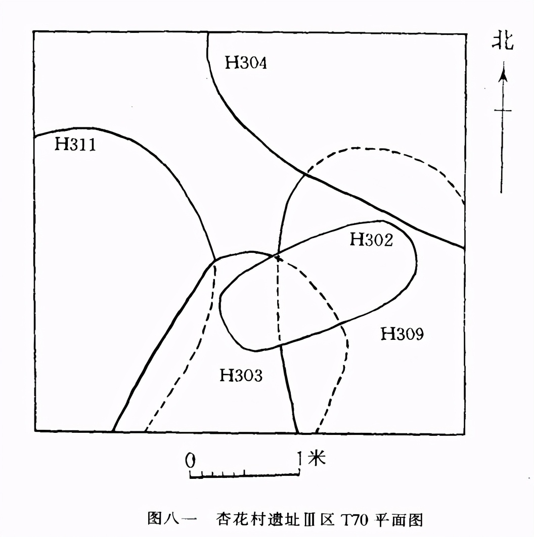 山西省汾阳市杏花村发现仰韶文化遗址