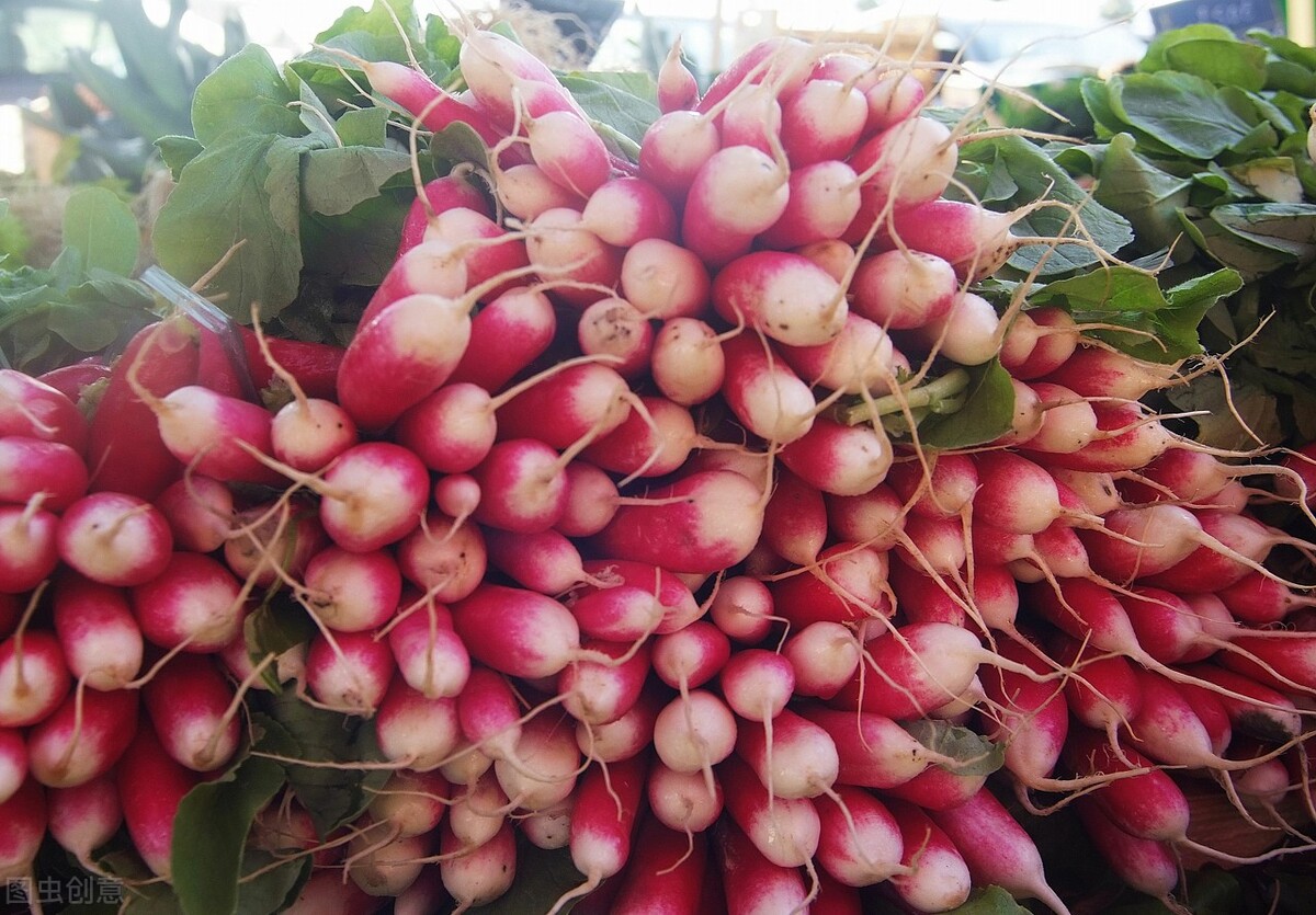 吃菠萝的季节是什么时候（常见水果上市的季节）