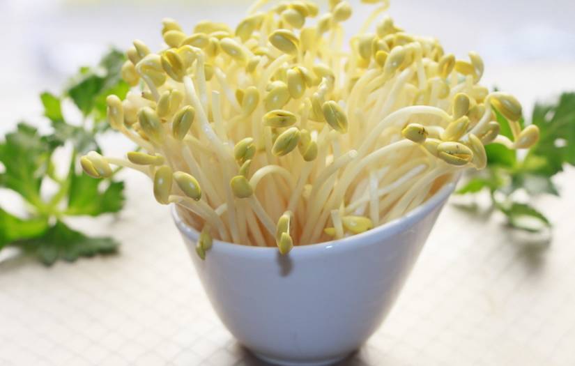 食物发芽了还能不能吃？大家对于该类食物的认知，要更加全面
