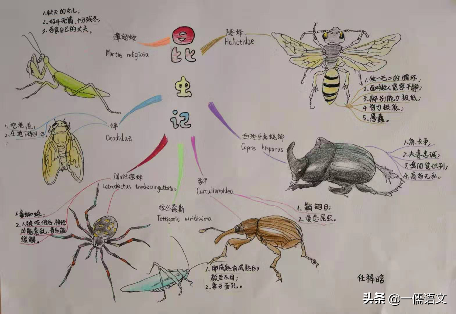 语文读书方法很重要，这三种精读法，大部分老师却没有教给学生