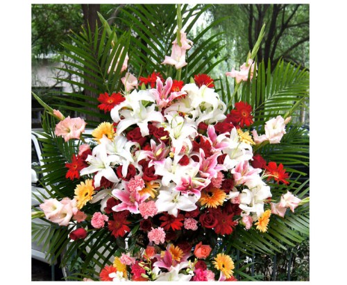 乔迁送花篮可以吗（公司乔迁送花篮有什么讲究）