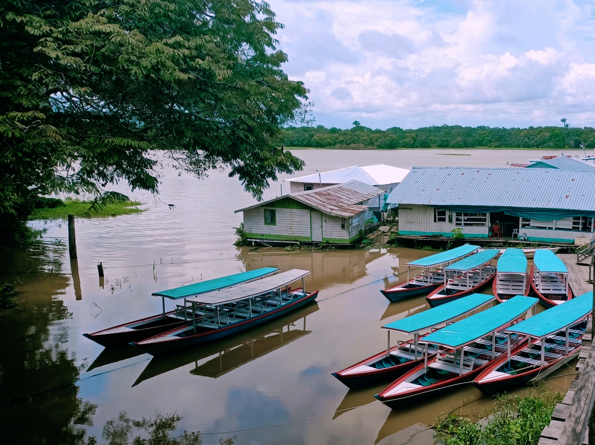 亚马逊河有多长 亚马逊河有食人鱼吗-星星快文