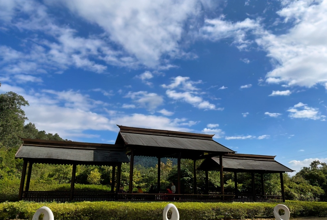 厦门天竺山森林公园 厦门天竺山国家森公园-徐拾记官网