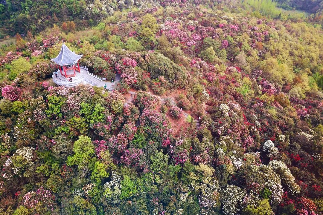 贵州又一景点火了！世界上最大的天然花园，4天3晚超详细攻略