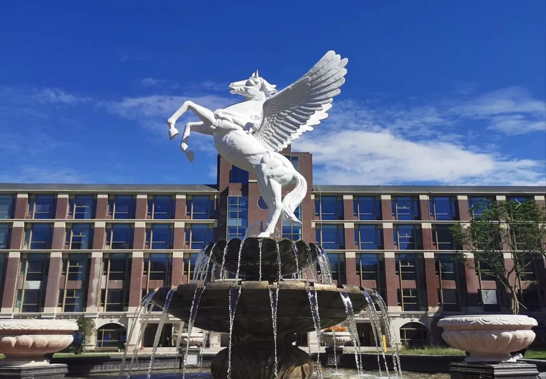 重磅！2020民校幼升小补录已经开始！今天，温江这所学校热火朝天