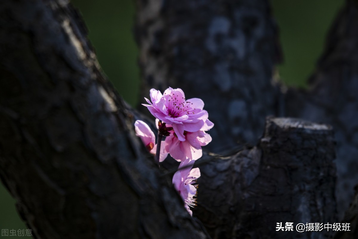 10大攝影構(gòu)圖手法，10個(gè)攝影技巧，拍好照片的殺手锏