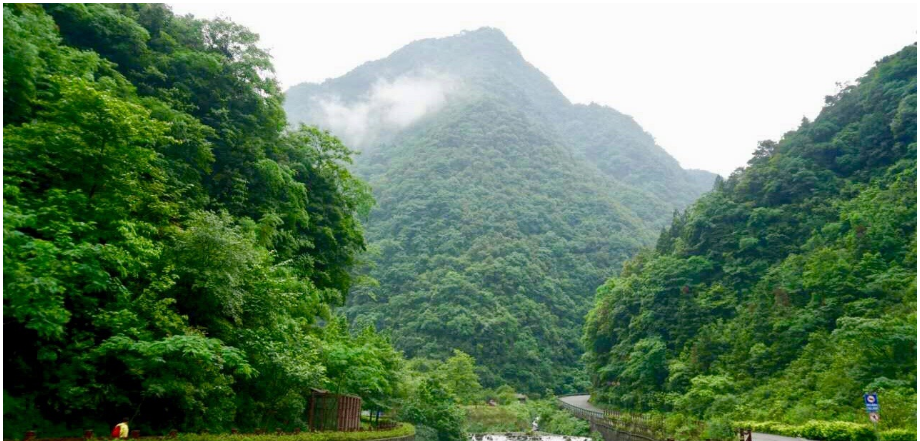 每天一县：重庆市南川区
