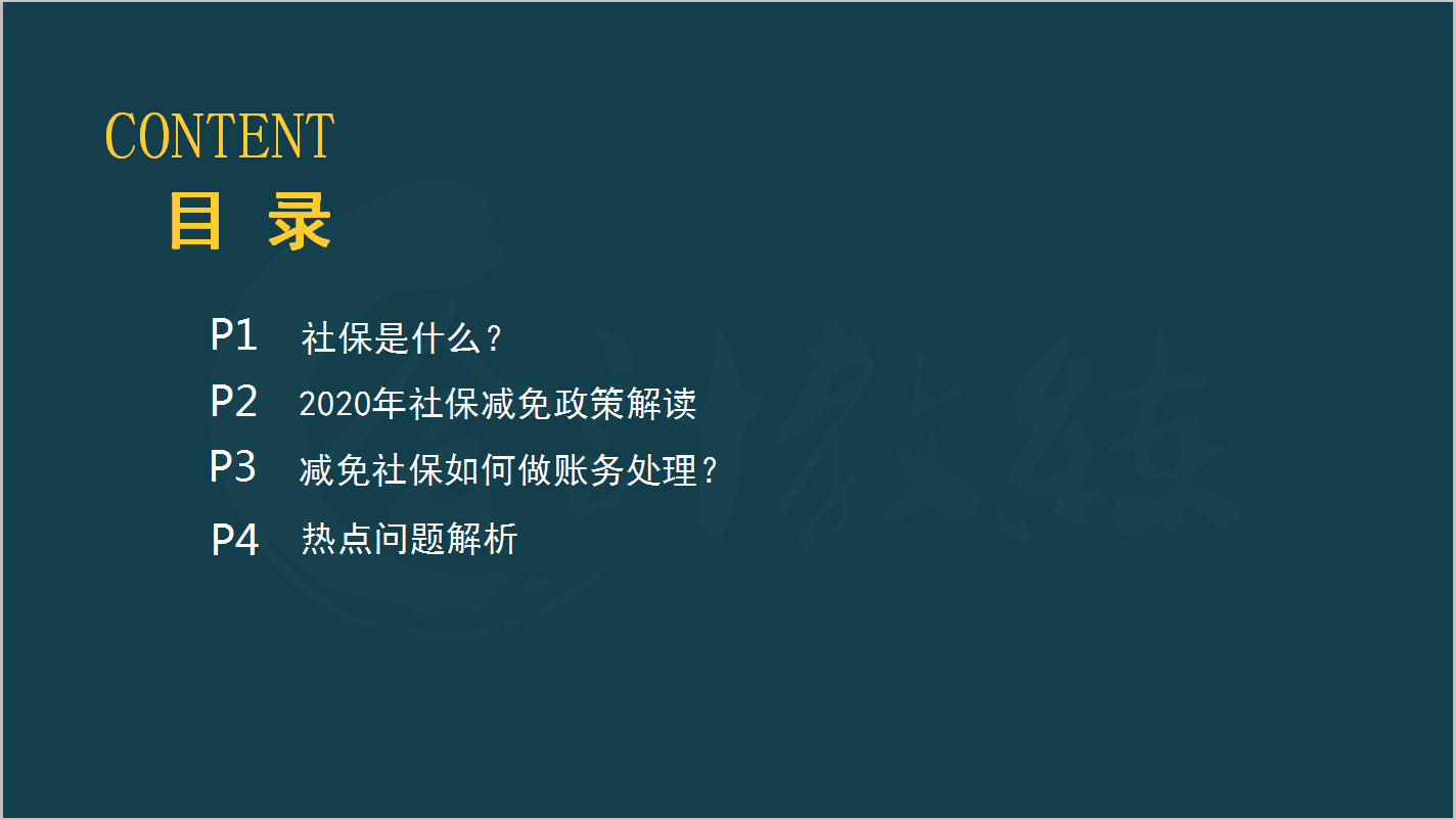 28岁女会计有房有车有猫有狗，工作时间不是借口，选择才是关键