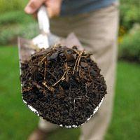 土壤有机质,土壤有机质含量的测定