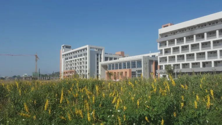 高职高考必看｜全面了解惠州工程职业学院