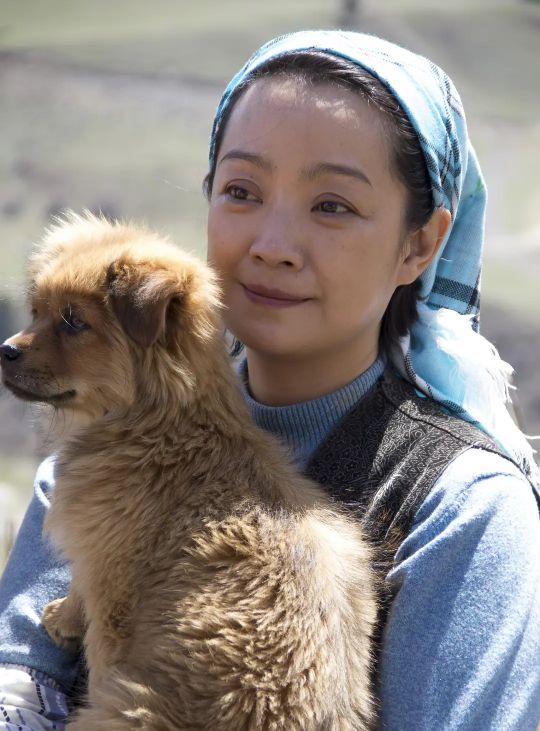 雪狼犬相关电影好看吗（真是一部血性又有温度的电影）