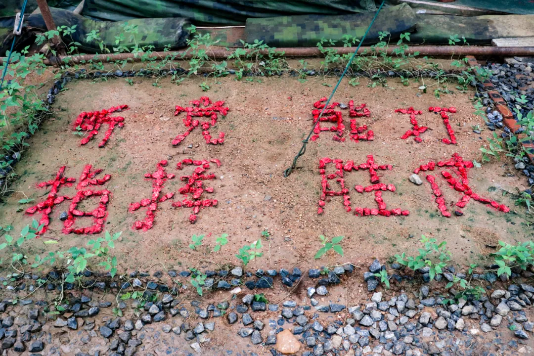 野战文化：流动的宣传阵地，行走的红色课堂