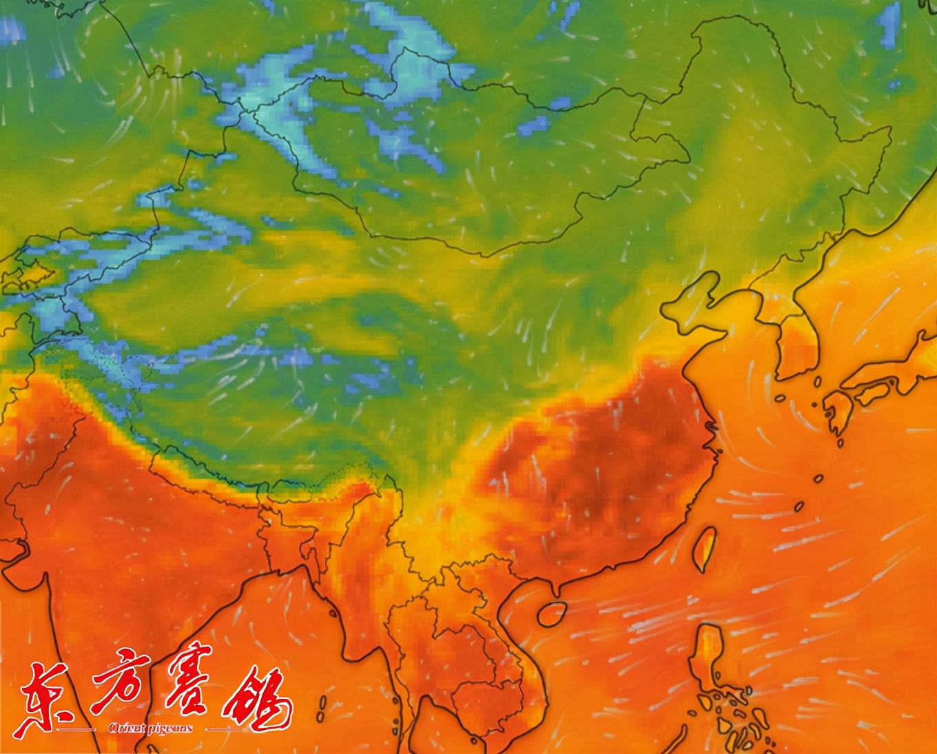 武汉世界杯福齐赛鸽俱乐部(武汉福齐俱乐部雄鹰四关资格赛二日归巢率66.47%)