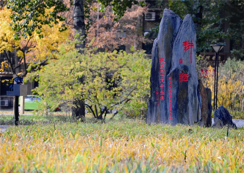 中国农业大学，合并清北农学院，农业科学一枝独秀