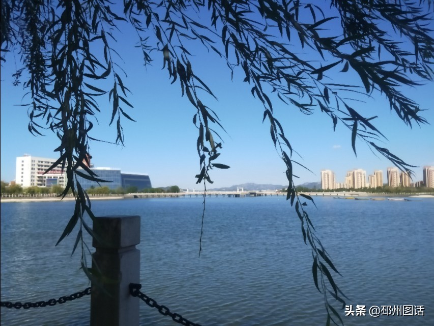美丽的校园，威海职业学院