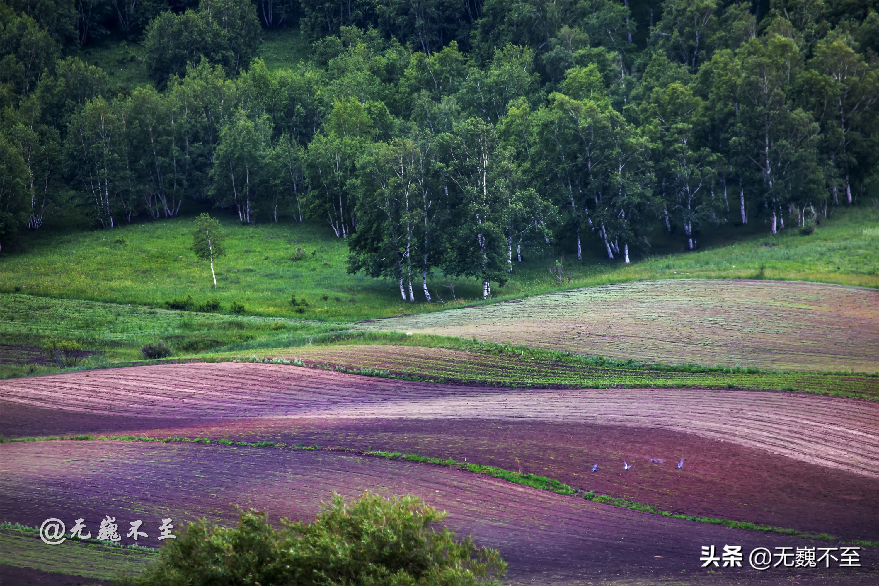 内蒙古缩影——克什克腾自驾攻略，不容错过的九大景点