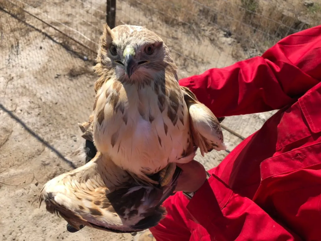 什么是快乐星球（什么是快乐星球？）