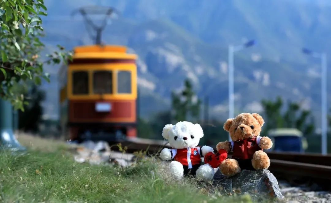 京郊这所学校，真真了不得