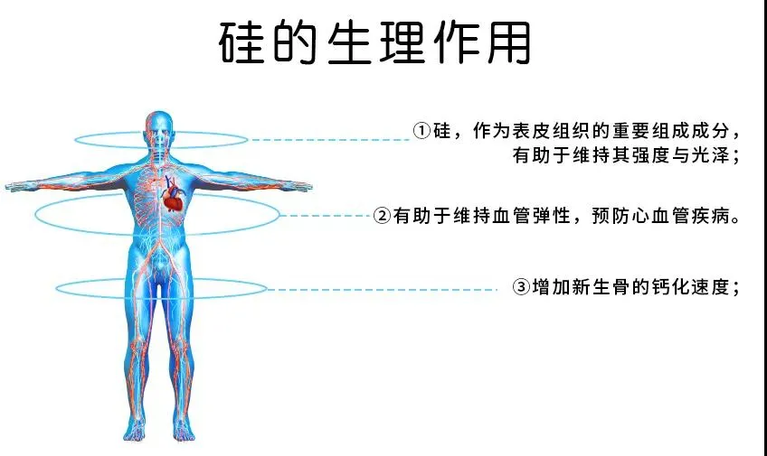 全世界zui顶级的矿泉水合集，有钱都未必买得到