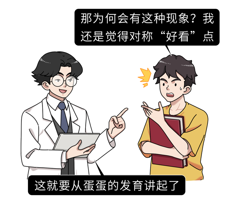调查发现：80%男性的两侧睾丸高低、大小都不同，原因为何？