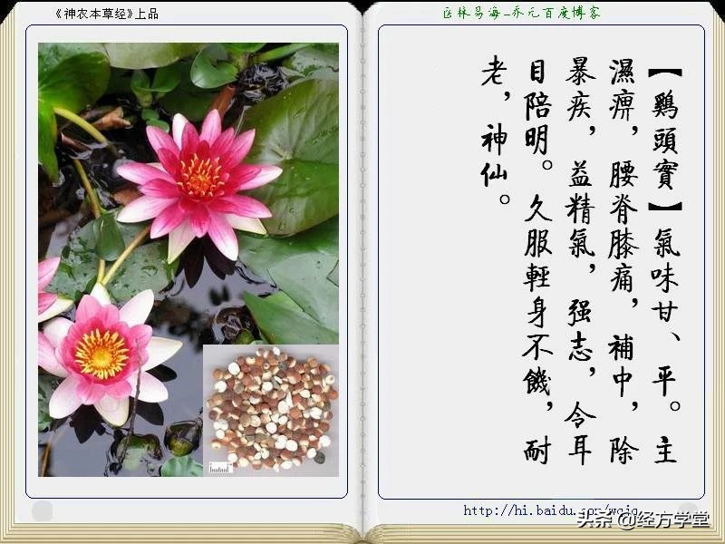 《神农本草经》全册图文解析 建议收藏