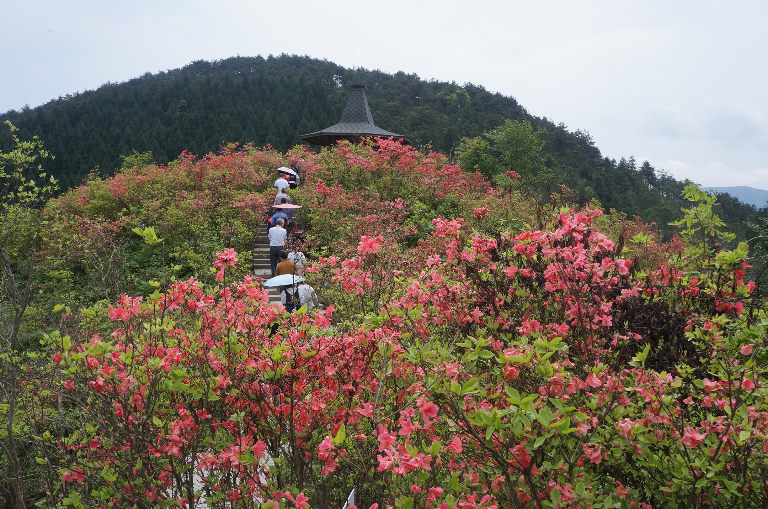 金华磐安县十大旅游景点_磐安景点大全排名 - 密云旅游