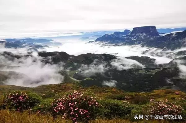 全球最美的峡谷竟然在中国!有的未曾公开,有的尚未开发!