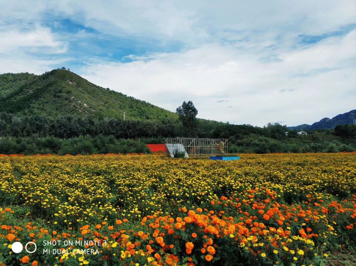 北京26个免费而风景优美的景区，你去过几个？您还有哪些景区推荐