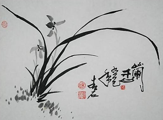 兰花的诗句赞美兰花的诗句（形容兰花淡雅的诗句）-第11张图片-昕阳网