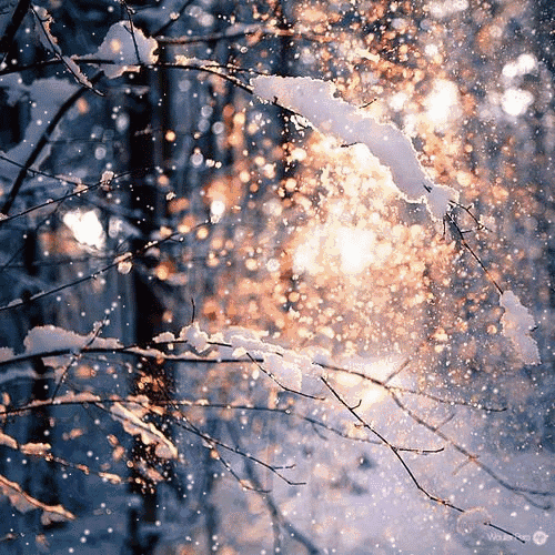 最美的诗意，最美的春雪