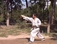 传统武术之八极拳