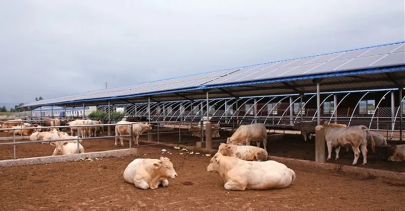 2020高考作文押题（内附最新素材）