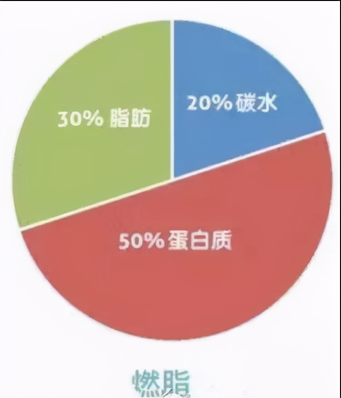 运动减肥多久才开始瘦脂肪(每天跑步和力量训练各60分钟，饮食少油少盐，三个月能瘦多少？)