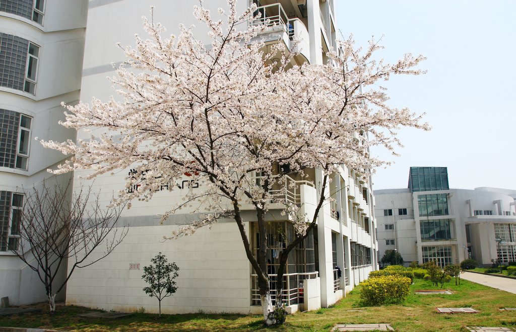 苏州大学文正学院转设市属公办院校，正式筹建“苏州城市大学”？