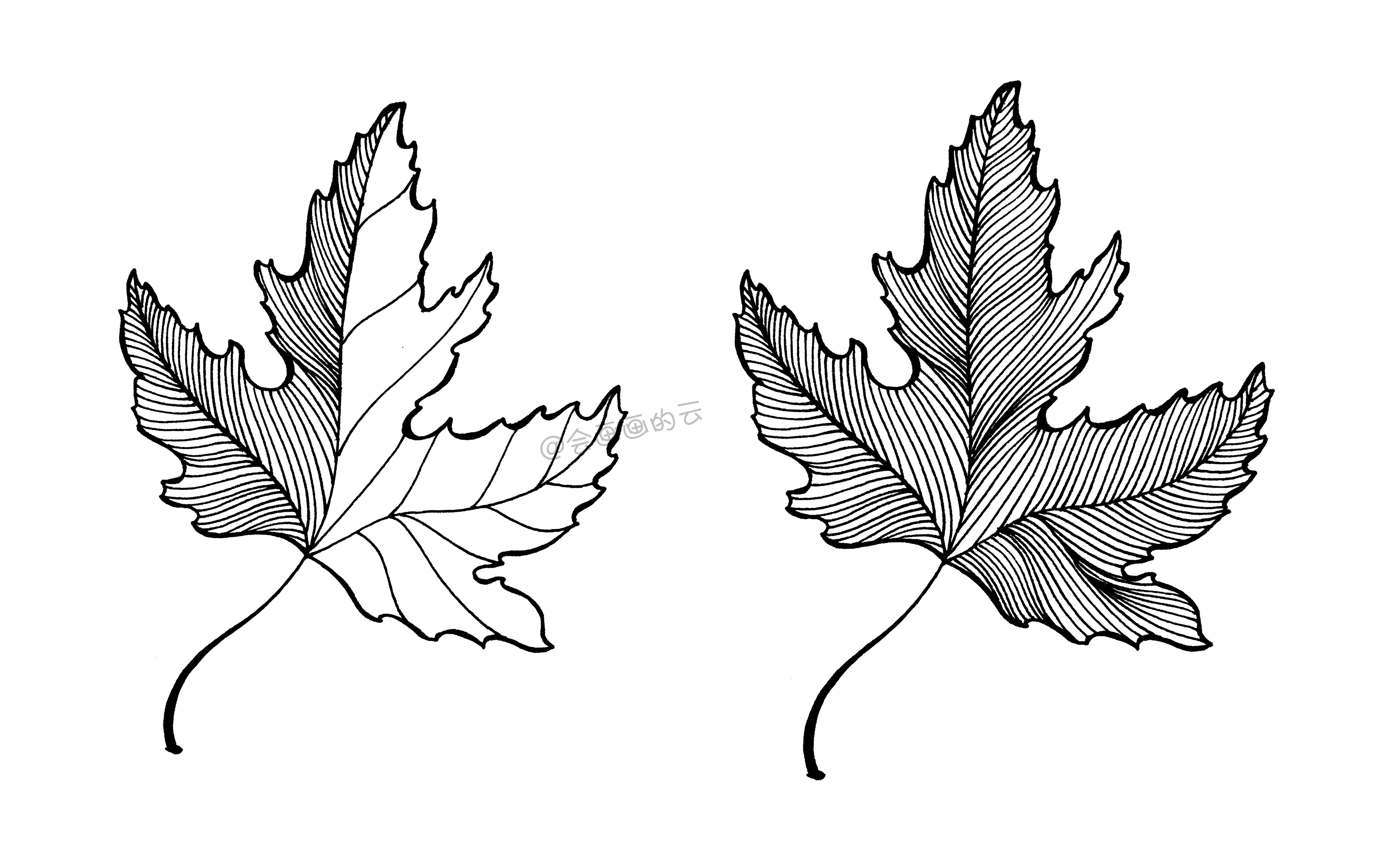 9款简笔画叶子,手残党福利,一支笔就可以画