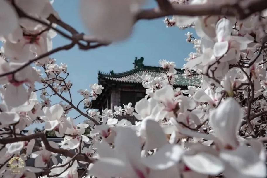 求学顶级医学院校是怎样的体验？23位院士坐镇，学霸大神云集！