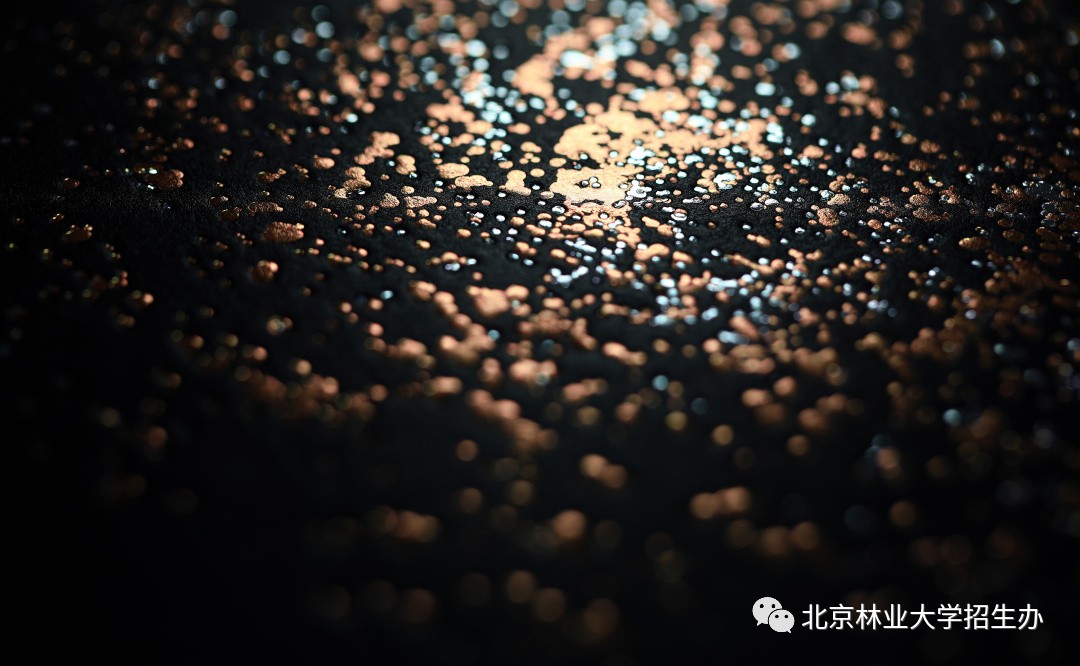 为了讲好八个字的校训，这所学校用了三年...