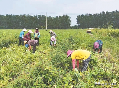 睢宁华润苏果招聘（苏果）