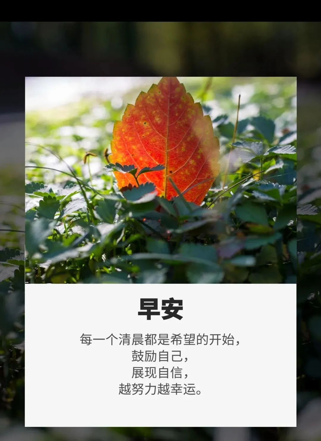「2021.10.24」早安心语，正能量精辟语录句子，漂亮的早上好图片