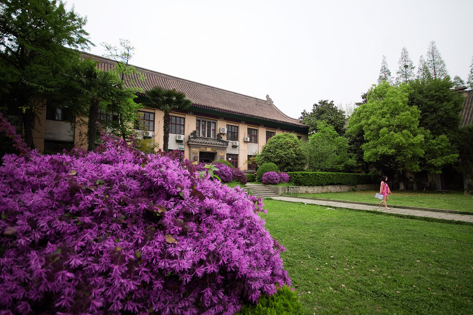 刘芳美术245分预估文化520分，能被南京师范大学录取吗？