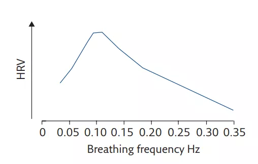 多慢才算慢？慢深呼吸：一个被身体遗忘的健康密码