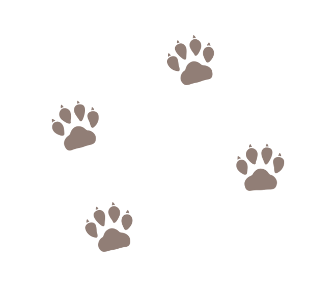 狗狗出现这些症状，说明它很热，赶紧给它降降温吧