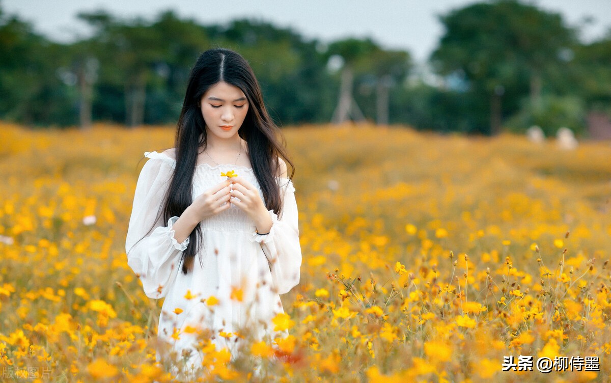 16张照片点评，给摄影新手的正确示例，菊花人像这样拍才美丽