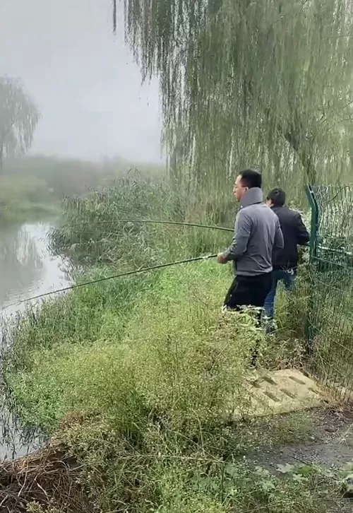 刚刚,青岛火车站…一度挤到没信号!高速路更是堵得热闹!钓鱼的钓鱼,睡觉的睡觉