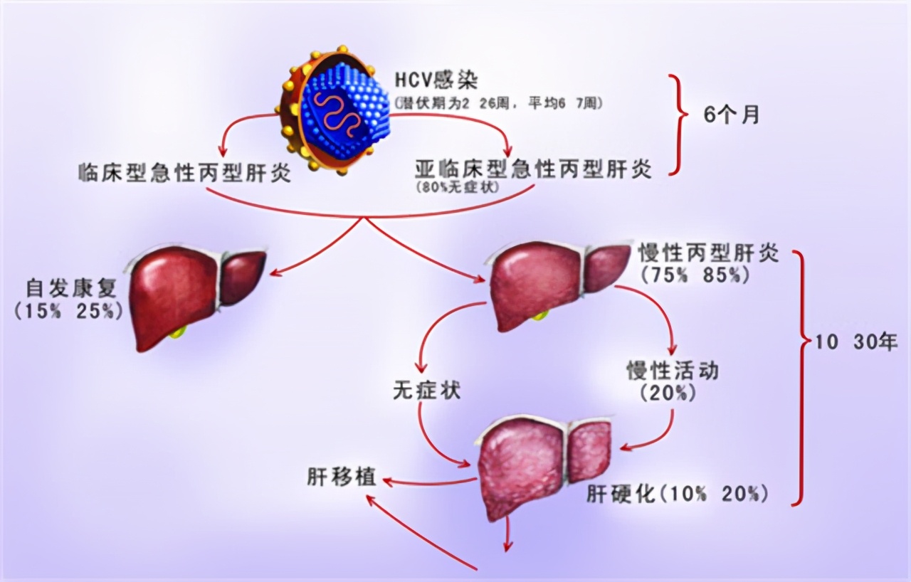 肝功能正常，半年后查出肝癌晚期？医生：筛查肝癌这3项检查别省