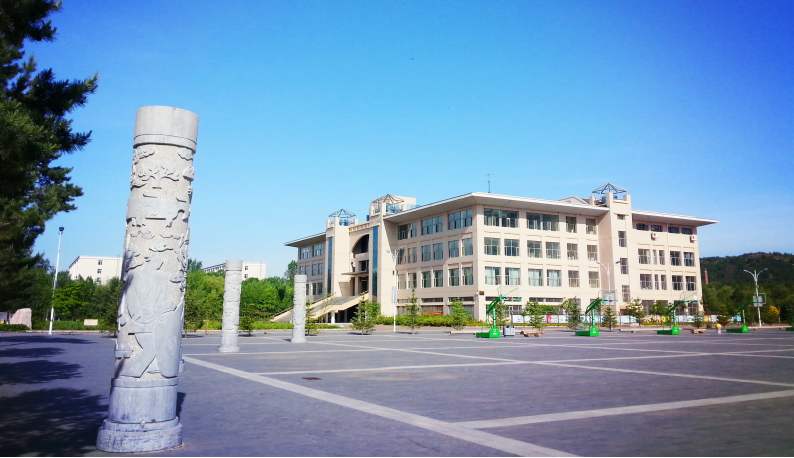 黑龙江最好的4所国家示范专科院校，实力强劲，两所位于哈尔滨