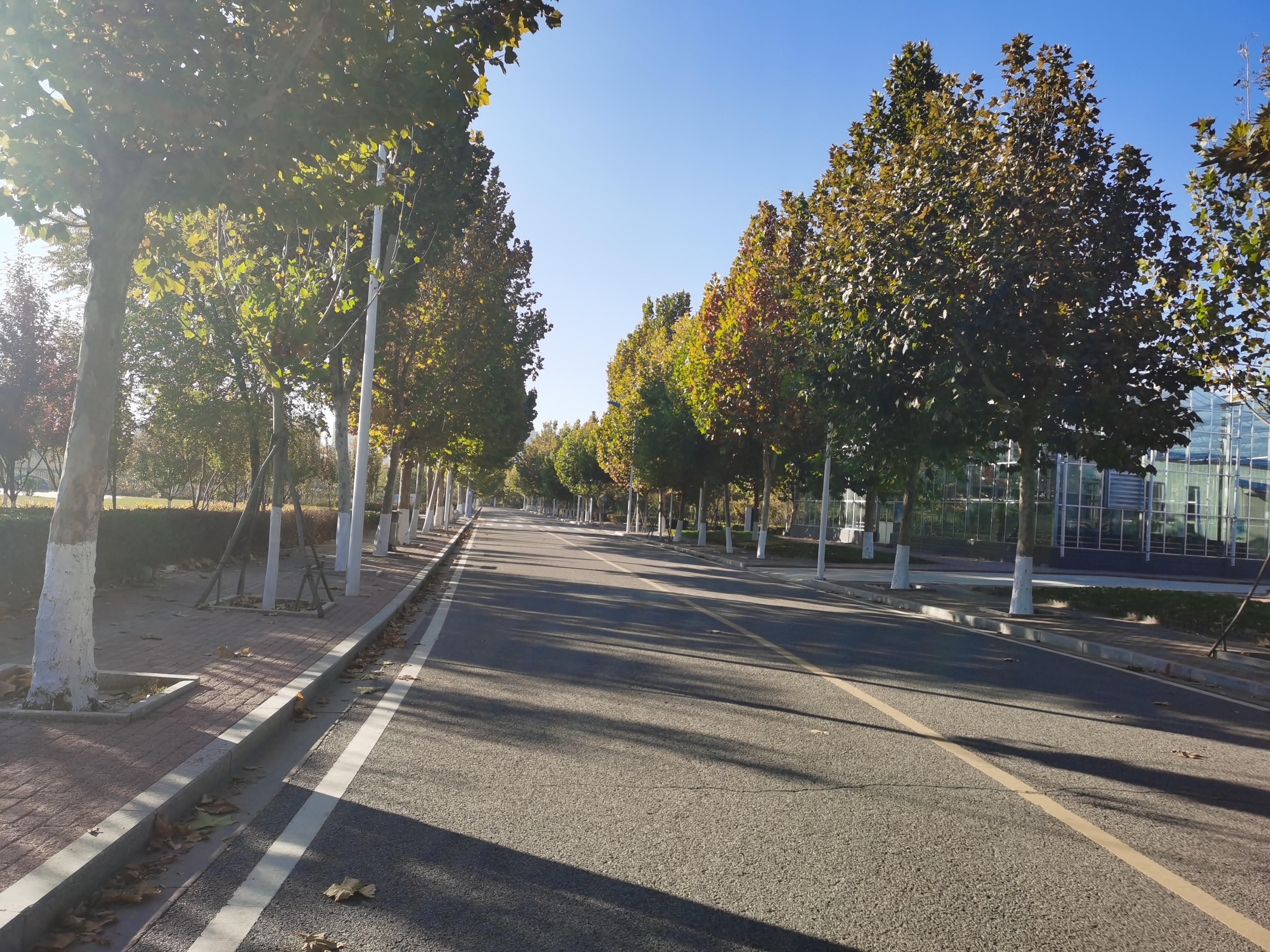 初冬的唐山职业技术学院兴盛可期