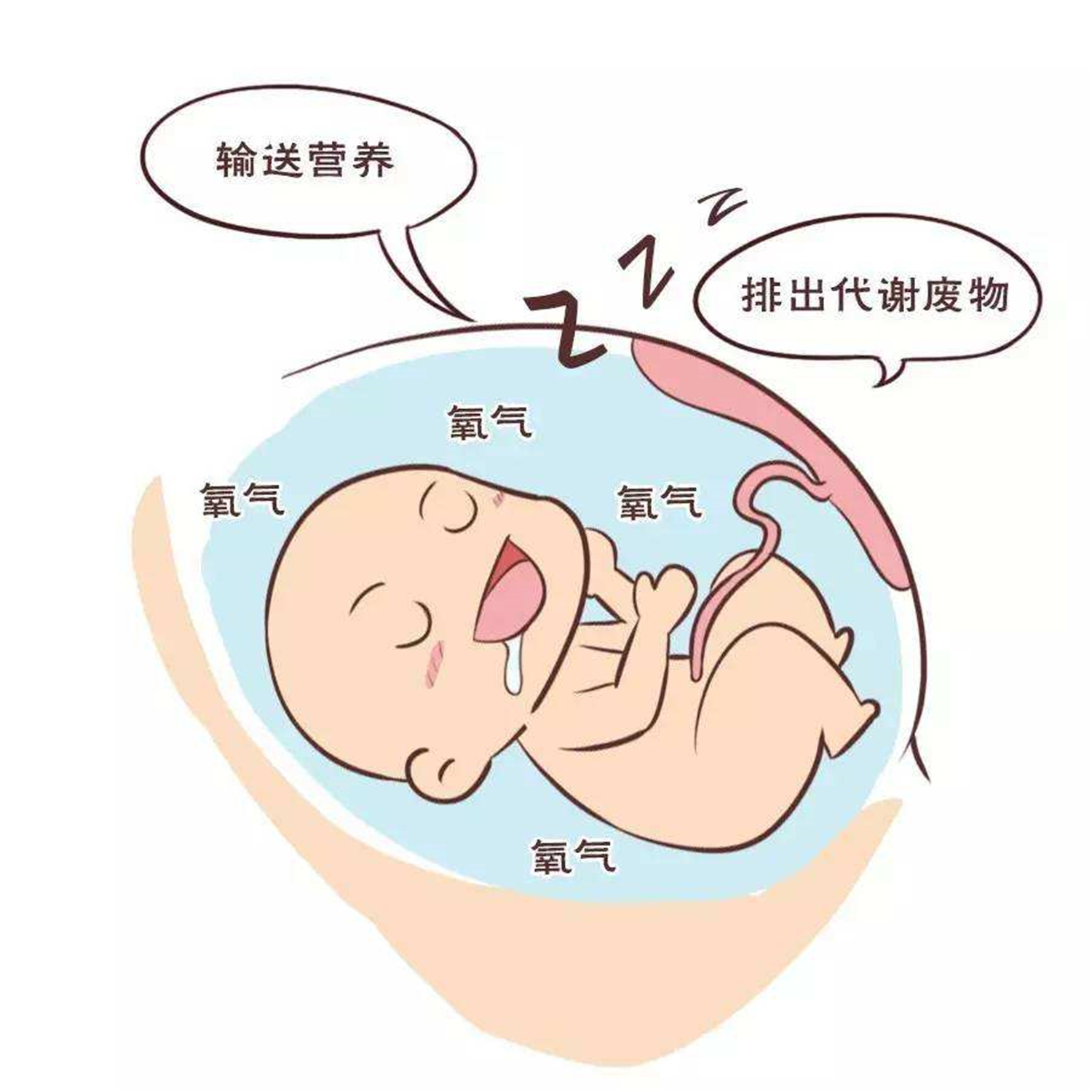 为何喝足了水量,羊水量还是偏低?四个可能的问题不能忽视